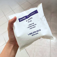 Bolsa fría desechable segura para contacto con alimentos, utilizada en la industria alimentaria para envíos a temperatura controlada.