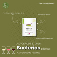 Bacterias Oenoccocus Oeni para MLF - Lactoenos B7 DIRECT Dose - Hacer Vino