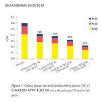 Carbón activado Charbon Actif Plus GR - Hacer Vino