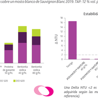 Clarificante base de proteína de chícharo y bentonitas - POLYMUST NATURE - 1KG BAG - Hacer Vino