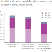 Clarificante POLYMUST BLANC base de proteina de chicharo y PVPP - Hacer Vino