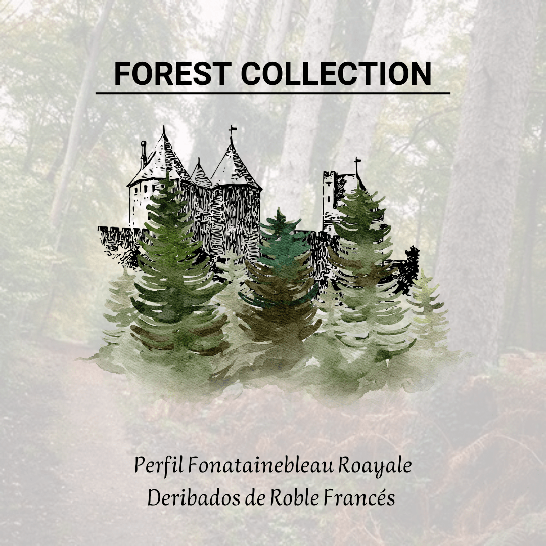Derivados del Roble Francés Forest Collection - Perfil Fonatainebleau Roayale para Crianza de Vinos - Hacer Vino