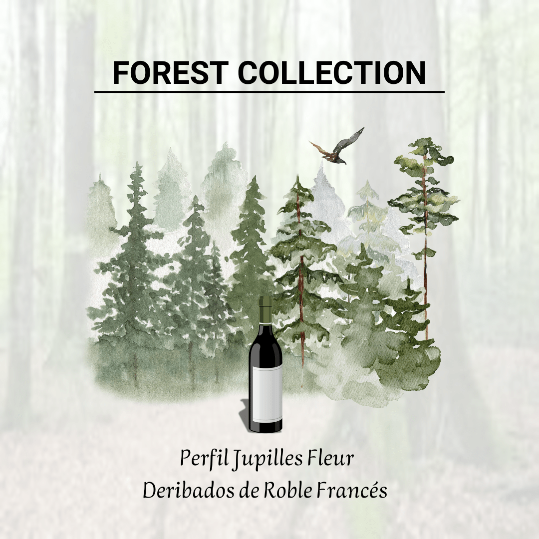 Derivados del Roble Francés Forest Collection - Perfil Jupilles Fleur para Crianza de Vinos - Hacer Vino
