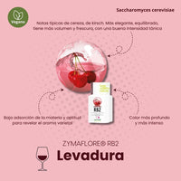 Levadura ZYMAFLORE RB2 para fermentar vinos tintos aromáticos y frutales - Hacer Vino