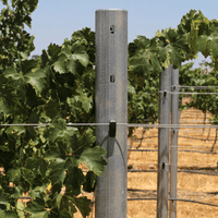 Postes Externos para Vid o Parra - Hacer Vino