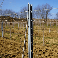 Postes Intermedios para Vid o Parra - Hacer Vino