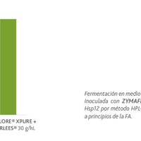 Proteccion de vinos en crianza - POWERLEES ROUGE - Hacer Vino