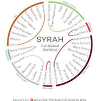 Vid o Parra Syrah (Caja con 450 plantas) - Hacer Vino