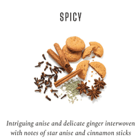 Derivados del Roble Element Collection - Spicy Perfil Picante para Crianza de Vinos - Hacer Vino
