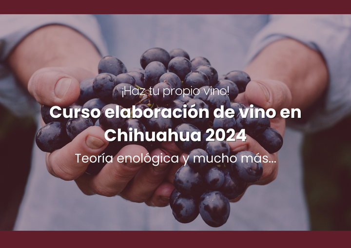 Curso de vino 2024