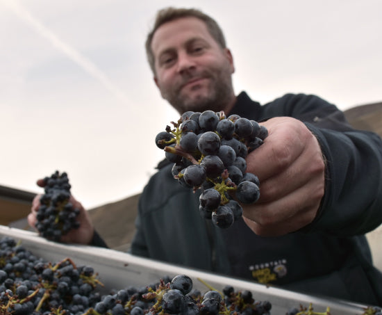 Curso de elaboración de vino 2025