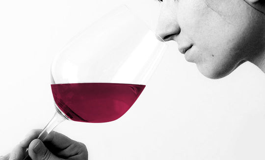 Nombres científicos de los compuestos de aromas en el vino - Hacer Vino