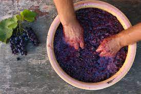Curso_enologia_hacer_vino_wine_making