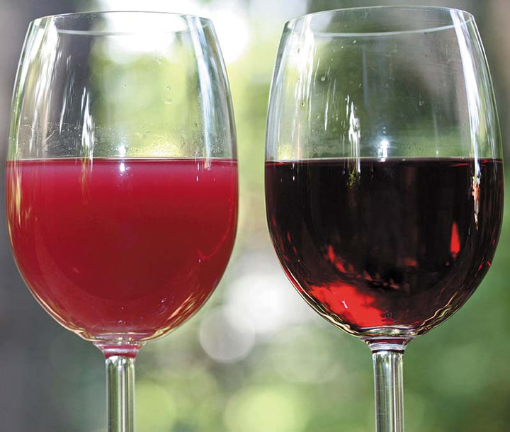 ejemplo de clarificación o refinamiento de vino tinto o rosado o blanco hacer vino laffort