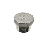 Tapón de acero inoxidable NPT rosca exterior 3/4" y 1"