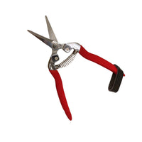 Detalle de Tijeras para vendimia y poda | acero inoxidable para trabajo en viñedo