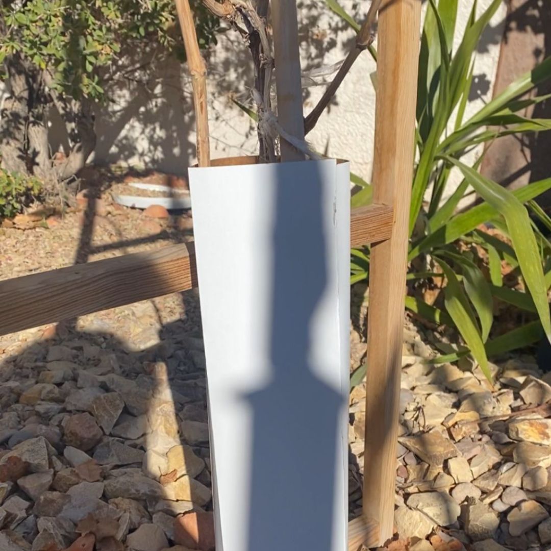 Tubos de Crecimiento Protección para vid, arboles nuevos - Tree Guard