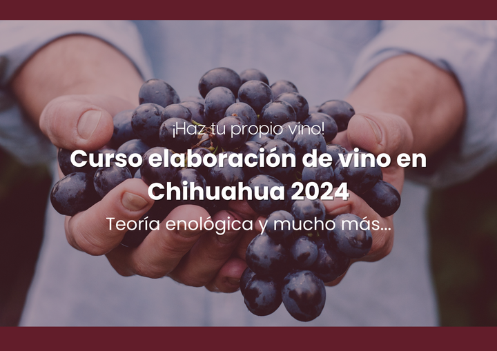 Curso elaboración de vino - Hacer Vino