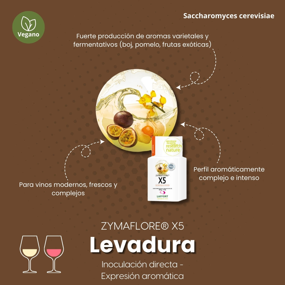 Levadura ZYMAFLORE X5 vinos blancos y rosados