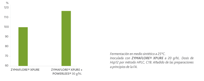 Proteccion de vinos en crianza -POWERLEES ROUGE - Hacer Vino