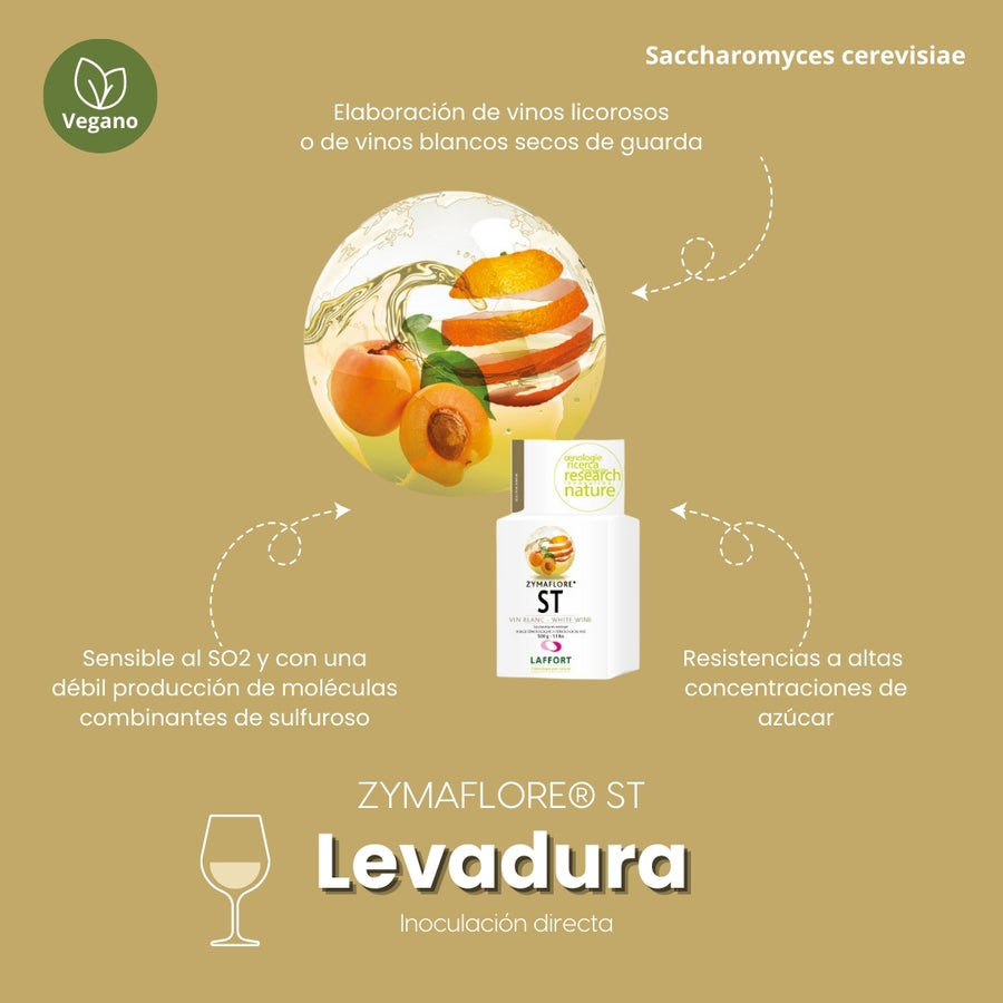 Levadura ZYMAFLORE ST para vinos blancos - Hacer Vino