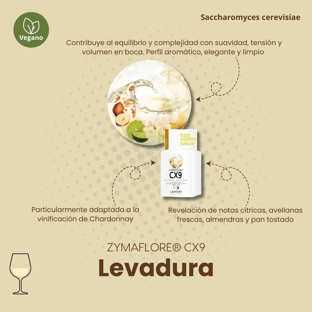 Levadura ZYMAFLORE CX9 para vinos blancos - Hacer Vino