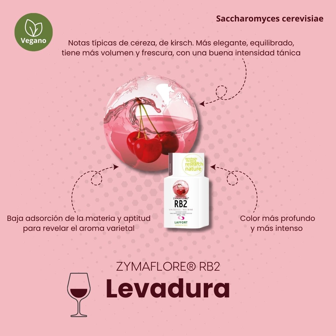 Levadura ZYMAFLORE RB2 para fermentar vinos tintos aromáticos y frutales - Hacer Vino
