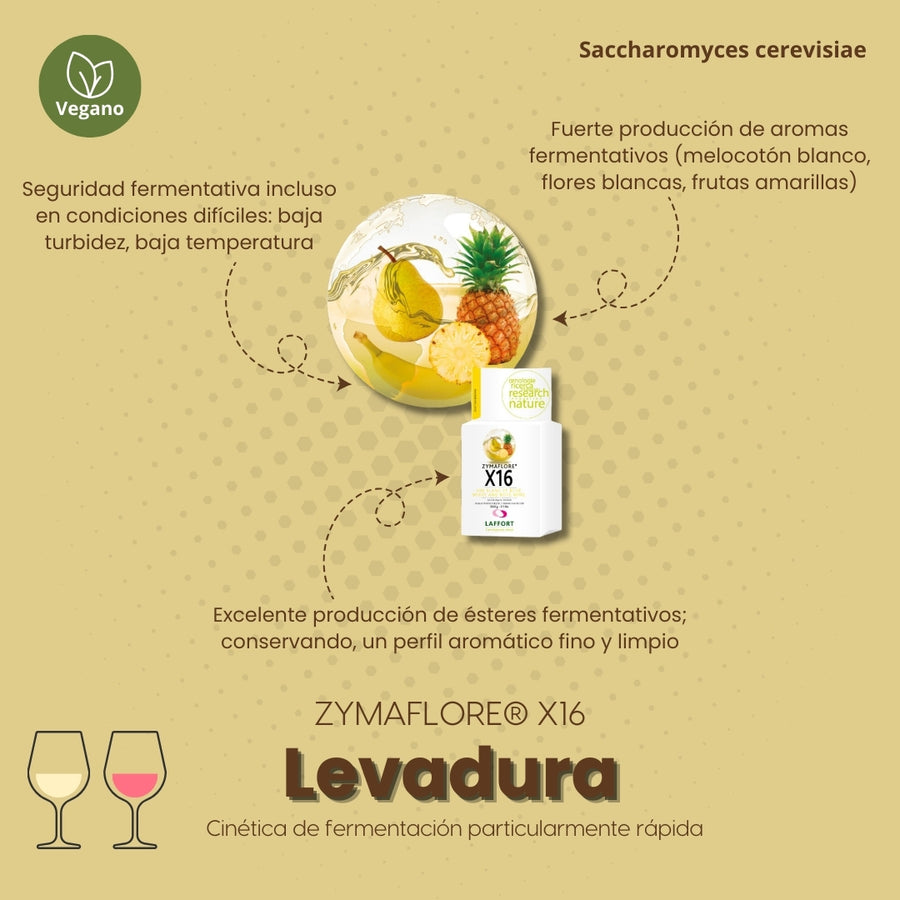 Levadura Zymaflore X16 para vinos blancos y rosados