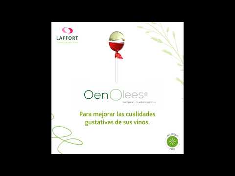 laffort_producción_de_vino_oenolees_hacervino_preparación_de_lías_De_levadura