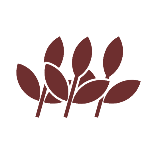 Recepción de plantas y preparación