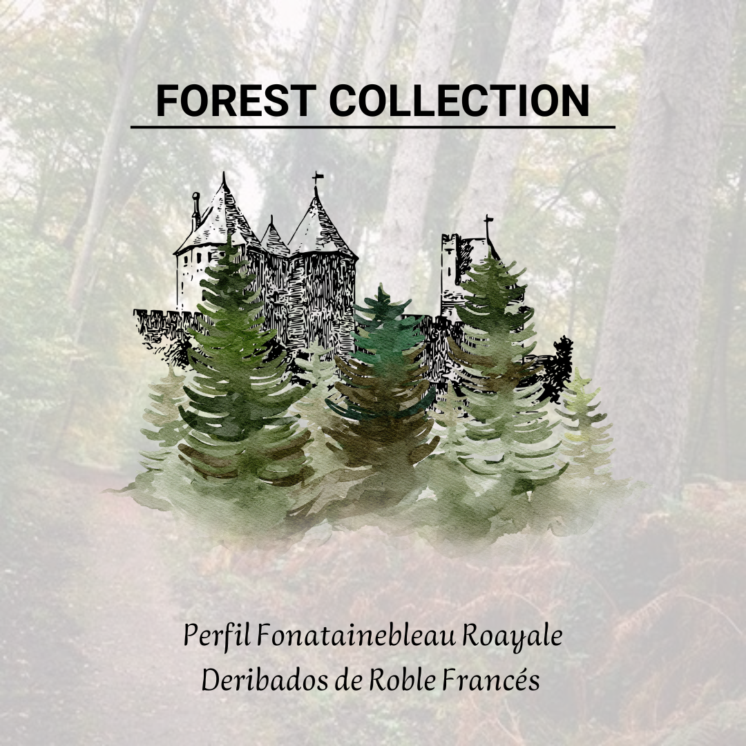 Derivados del Roble Francés Forest Collection - Perfil Fonatainebleau Roayale para Crianza de Vinos