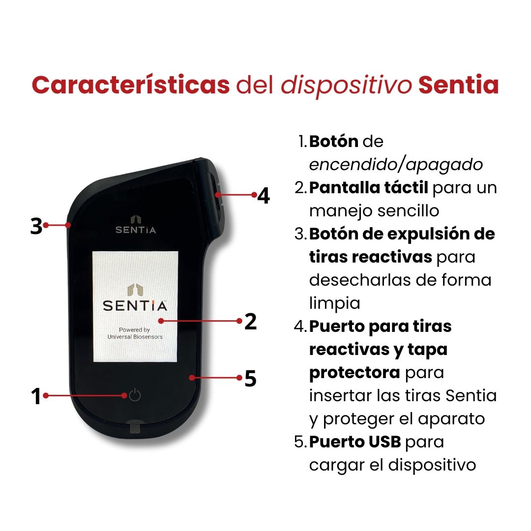 Servicio - Renta de Sentia - Hacer Vino