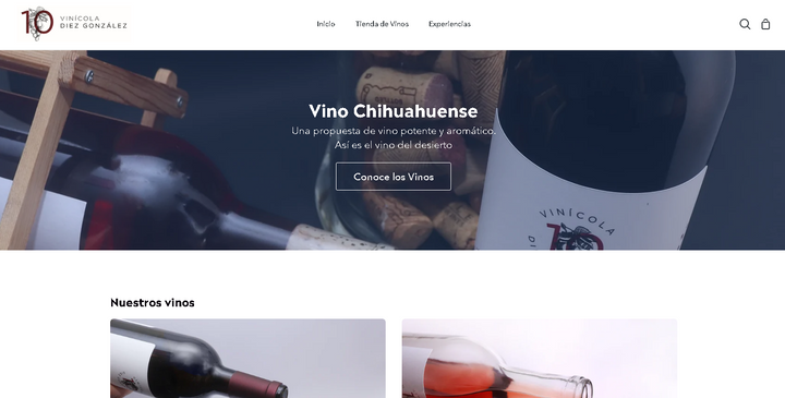 Hacer-vino-sitios-web-vinicola-botella-sotol-artesanal