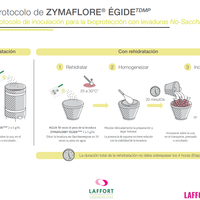 levadura_zymaflore_EGIDE_no_fermetativa_laffort_Hacer_vino_mexico_enologico_preparacion_uso