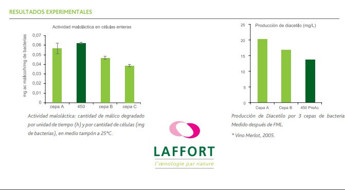 Bacteria_lacteonos_450_preac_enologico_altas_temperaturas_laffort_México_HAcer_comportamiento_grafico_resultado_expermiento_analisis